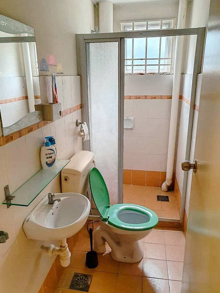 Serdang Villa, Bukit Serdang, Seri Kembangan - photo 6
