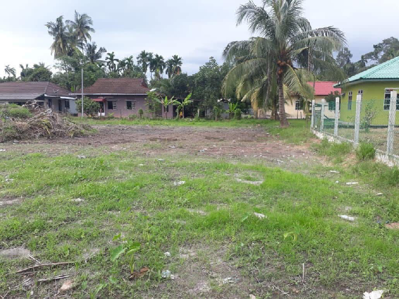 Tanah Residential Kampung Banggol Pokok Sena Penang - photo 2
