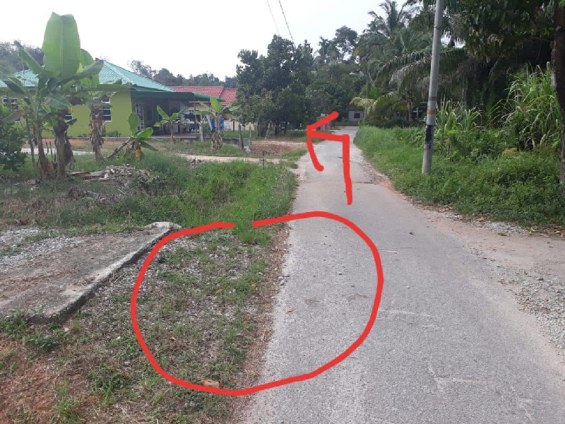 Tanah Residential Kampung Banggol Pokok Sena Penang - photo 7