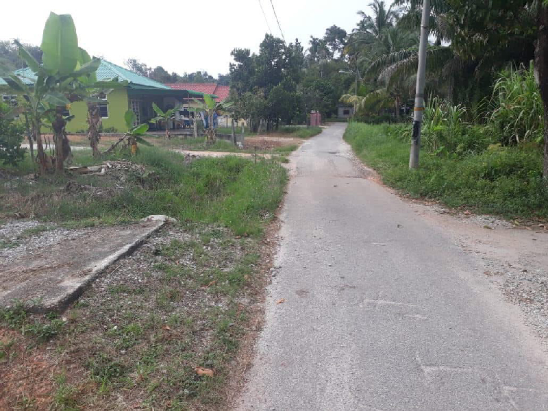Tanah Residential Kampung Banggol Pokok Sena Penang - photo 8
