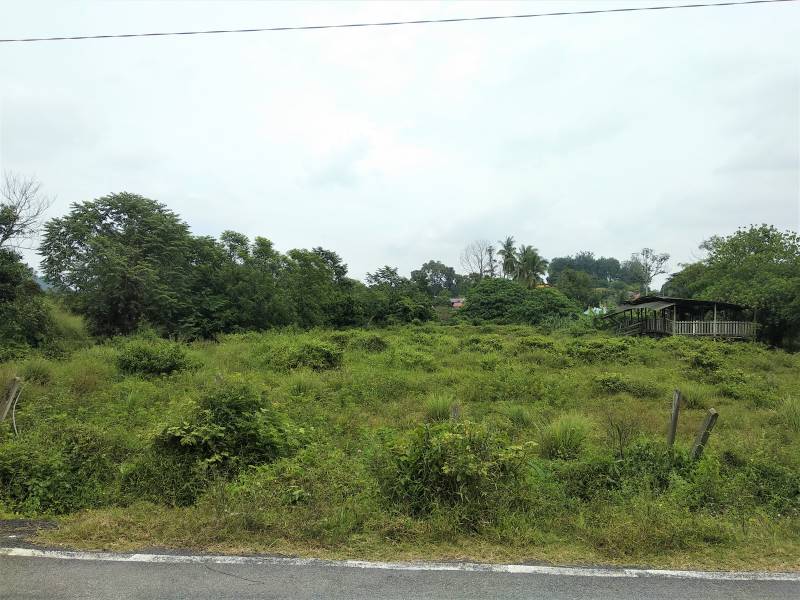 TANAH MURAH DI BERANANG 1 MINIT DARI JALAN BESAR