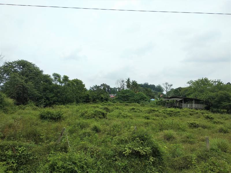 TANAH MURAH DI BERANANG 1 MINIT DARI JALAN BESAR - photo 2