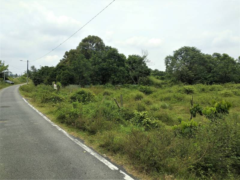 TANAH MURAH DI BERANANG 1 MINIT DARI JALAN BESAR - photo 3