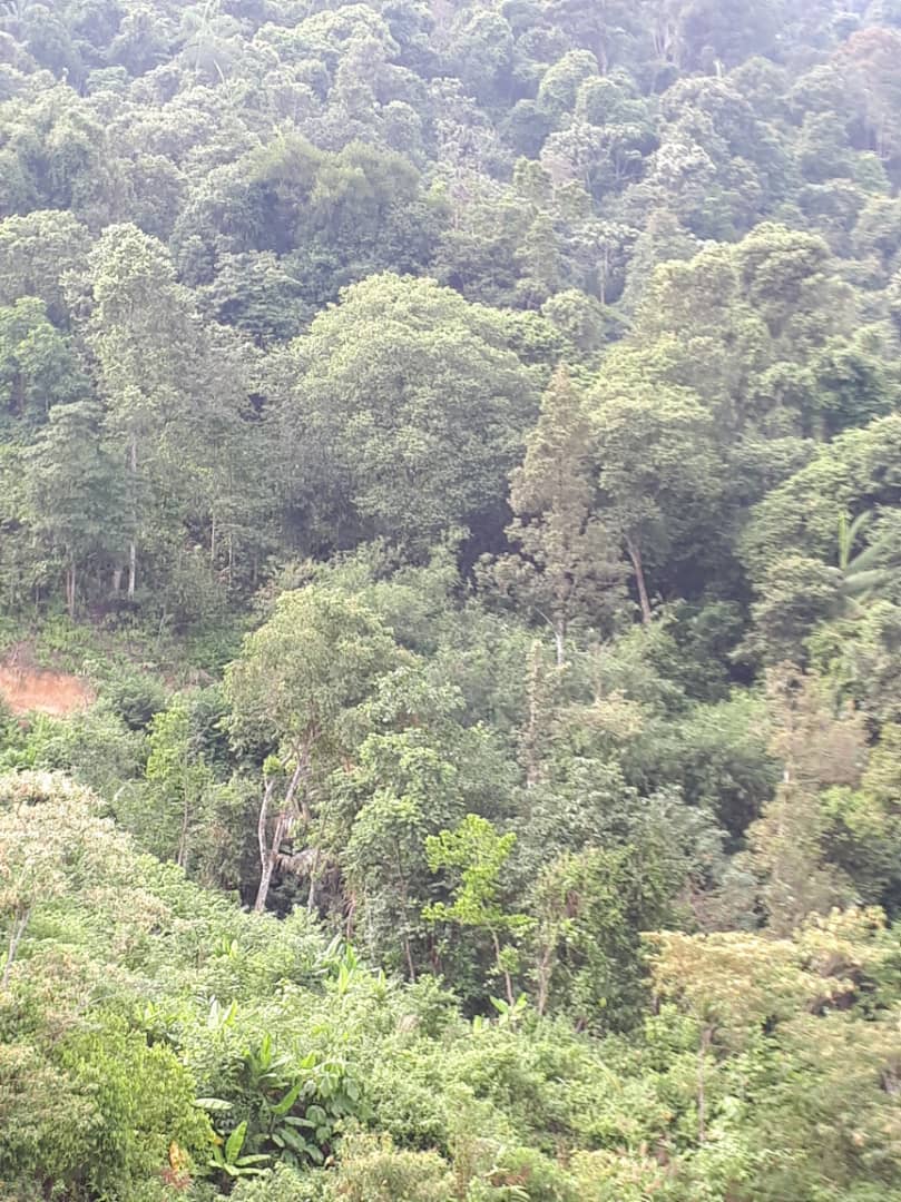 1 acre Agriculture Land Sungai Long Mukim Cheras - photo 4