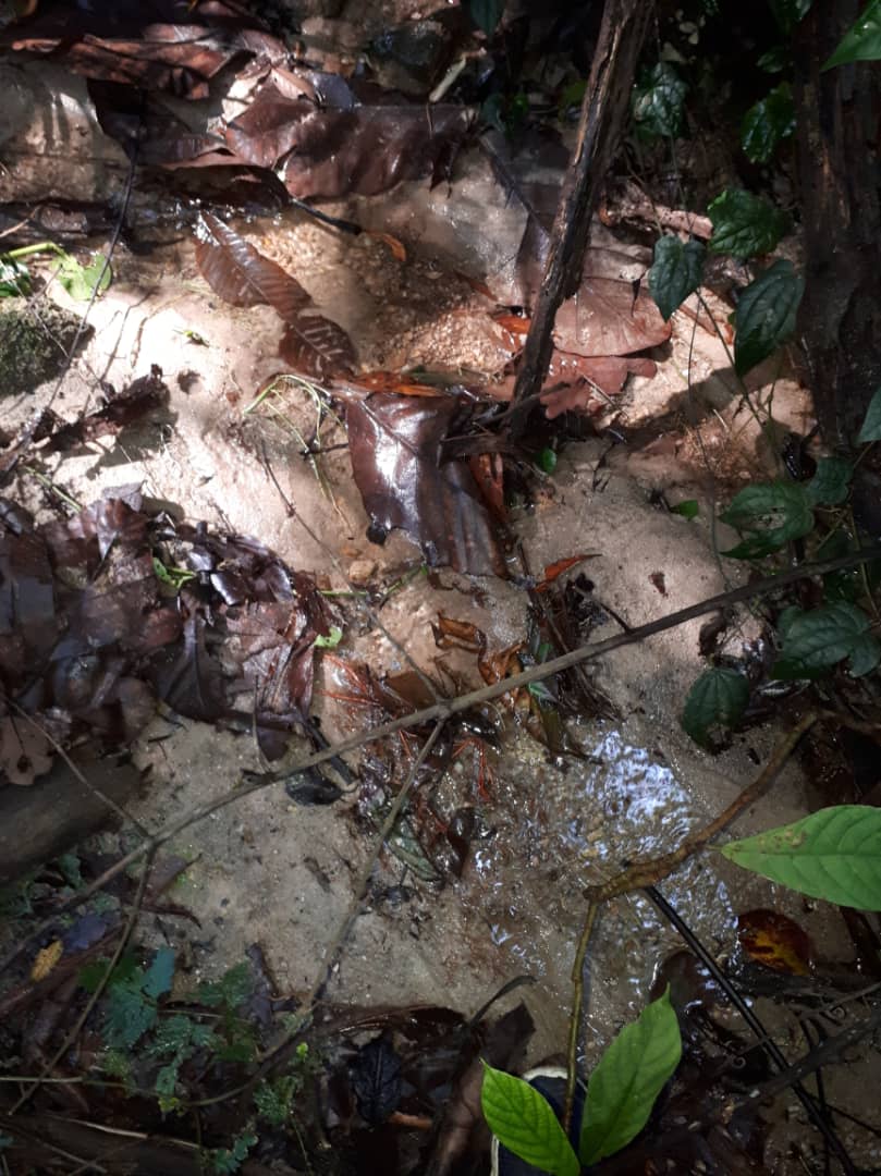 1 ekar Tanah Sungai Sekamat Mukim Cheras Kajang - photo 5