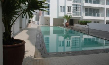 Bintang Goldhill - photo 4