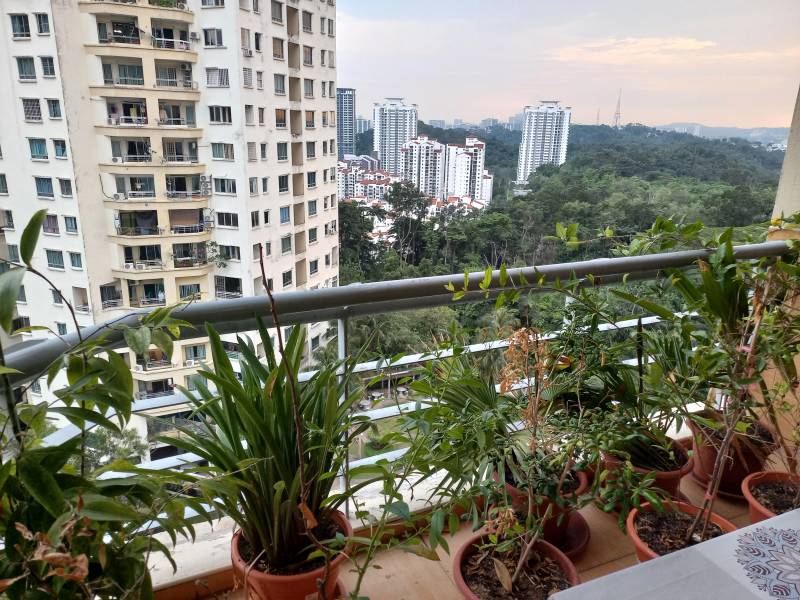 Pantai Panorama Condo - photo 11