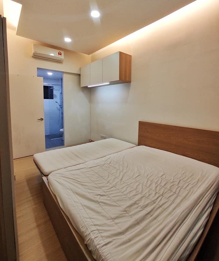 Shamelin Star - photo 5