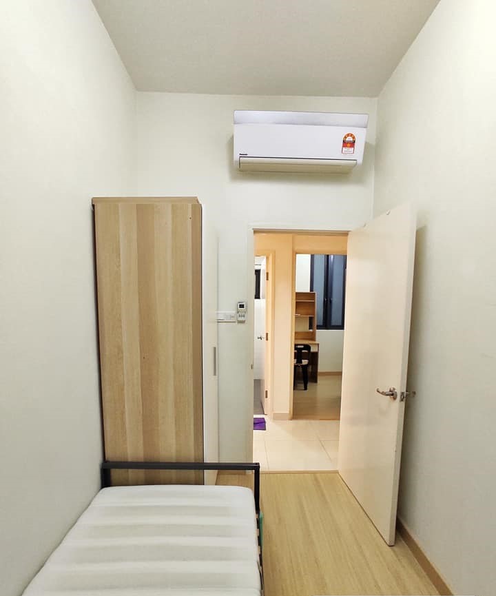 Shamelin Star - photo 8