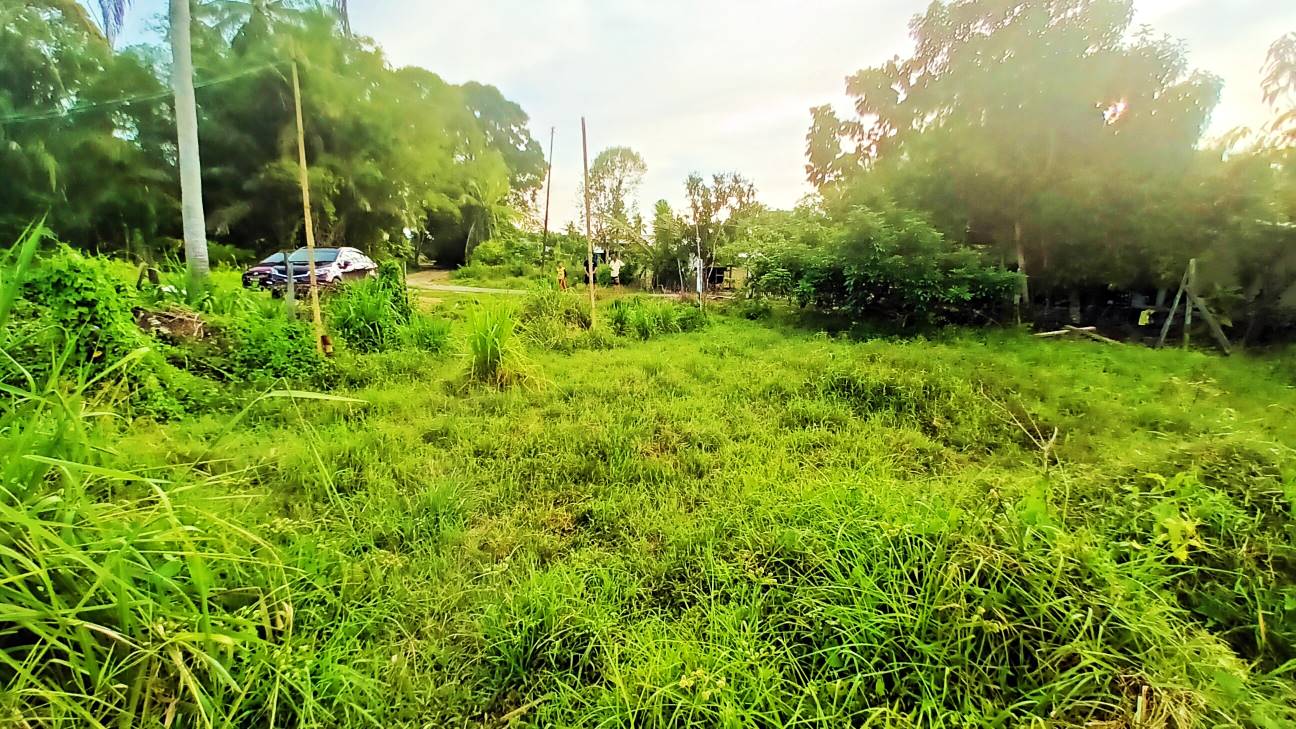KUALA PENYU TANAH NT 3,57 EKAR KERUKAN - photo 9