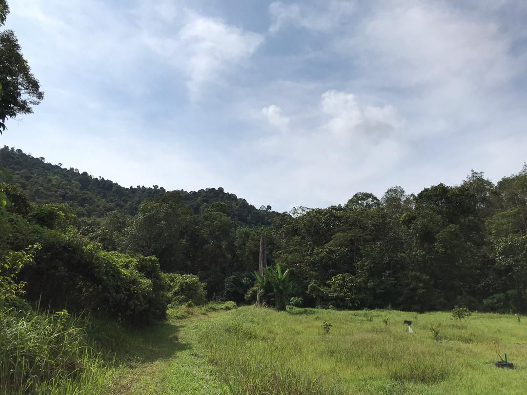 Tanah Satu Setengah Ekar Batu 16, Hulu Langat