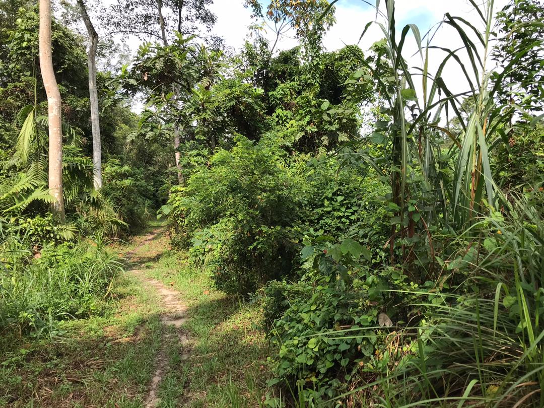 Tanah Satu Setengah Ekar Batu 16, Hulu Langat - photo 2
