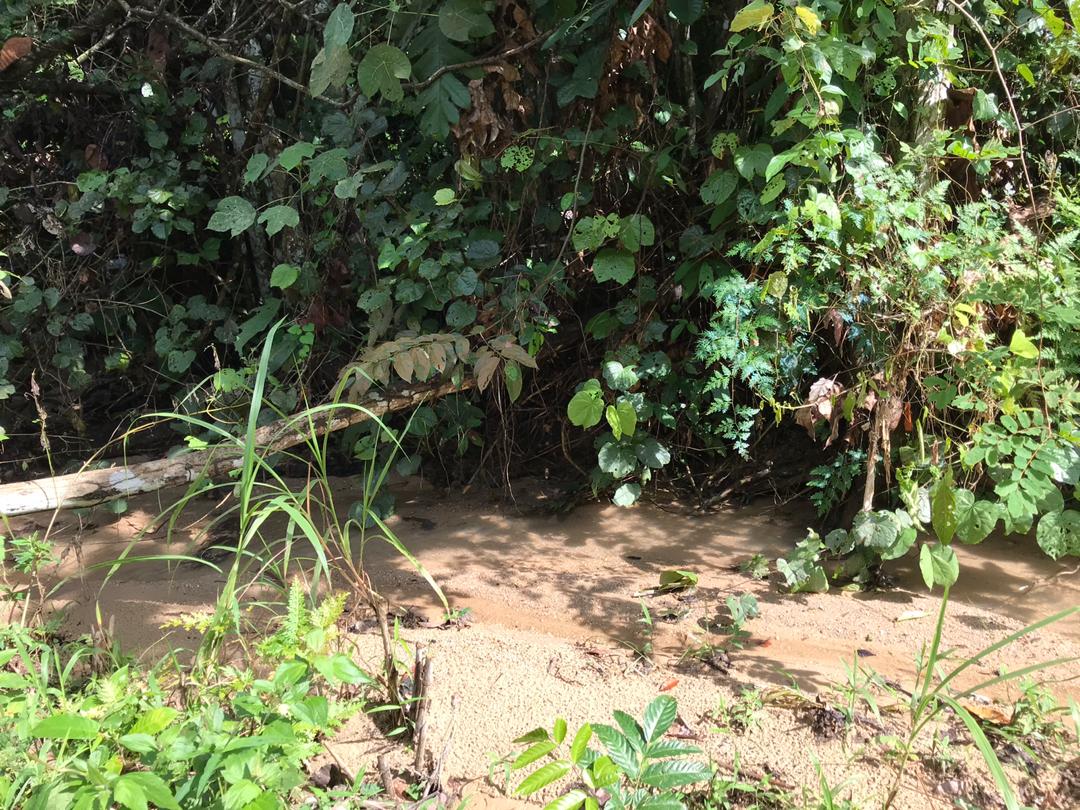 Tanah Satu Setengah Ekar Batu 16, Hulu Langat - photo 3
