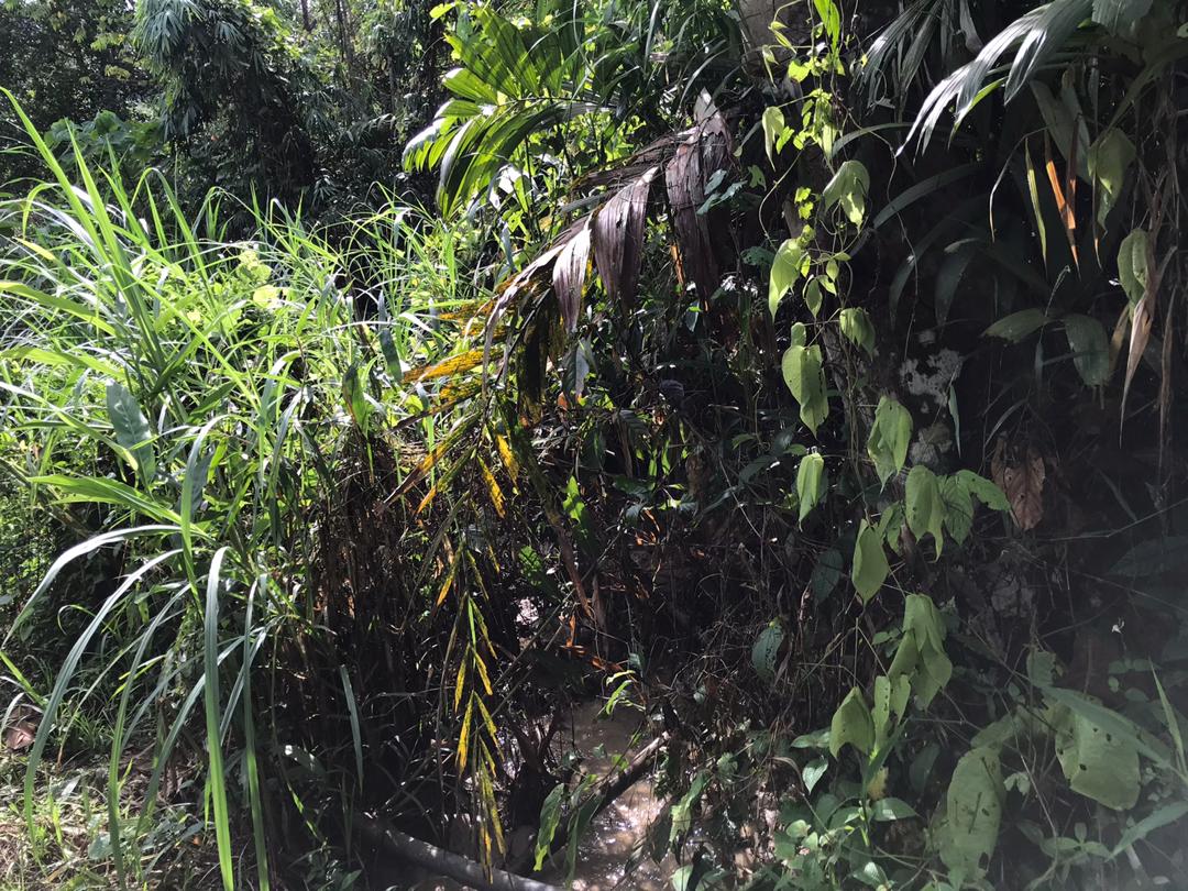 Tanah Satu Setengah Ekar Batu 16, Hulu Langat - photo 4