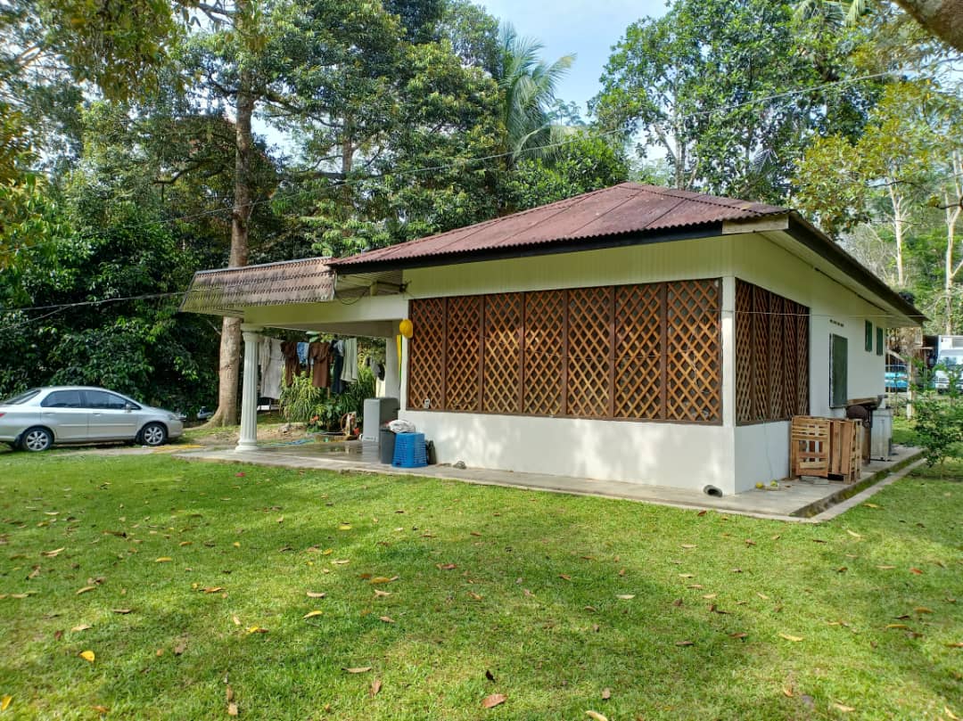 Tanah Pertanian Cherengin Tengah Janda Baik - photo 4