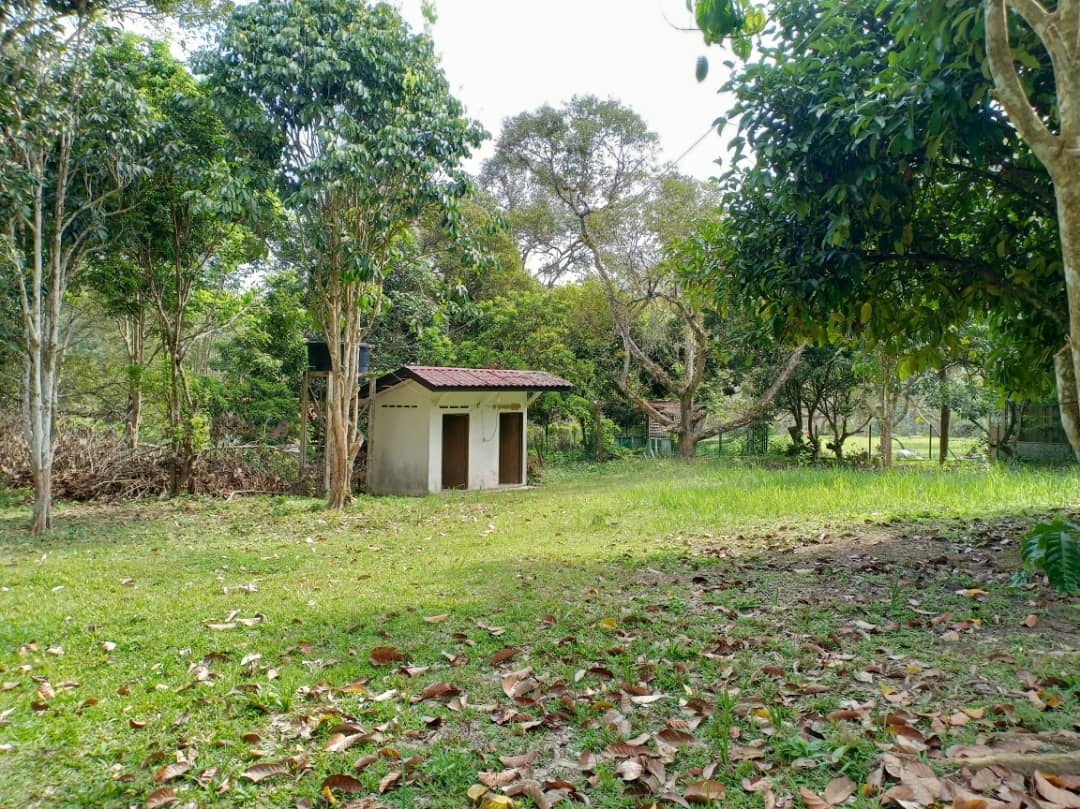Tanah Pertanian Cherengin Tengah Janda Baik - photo 5