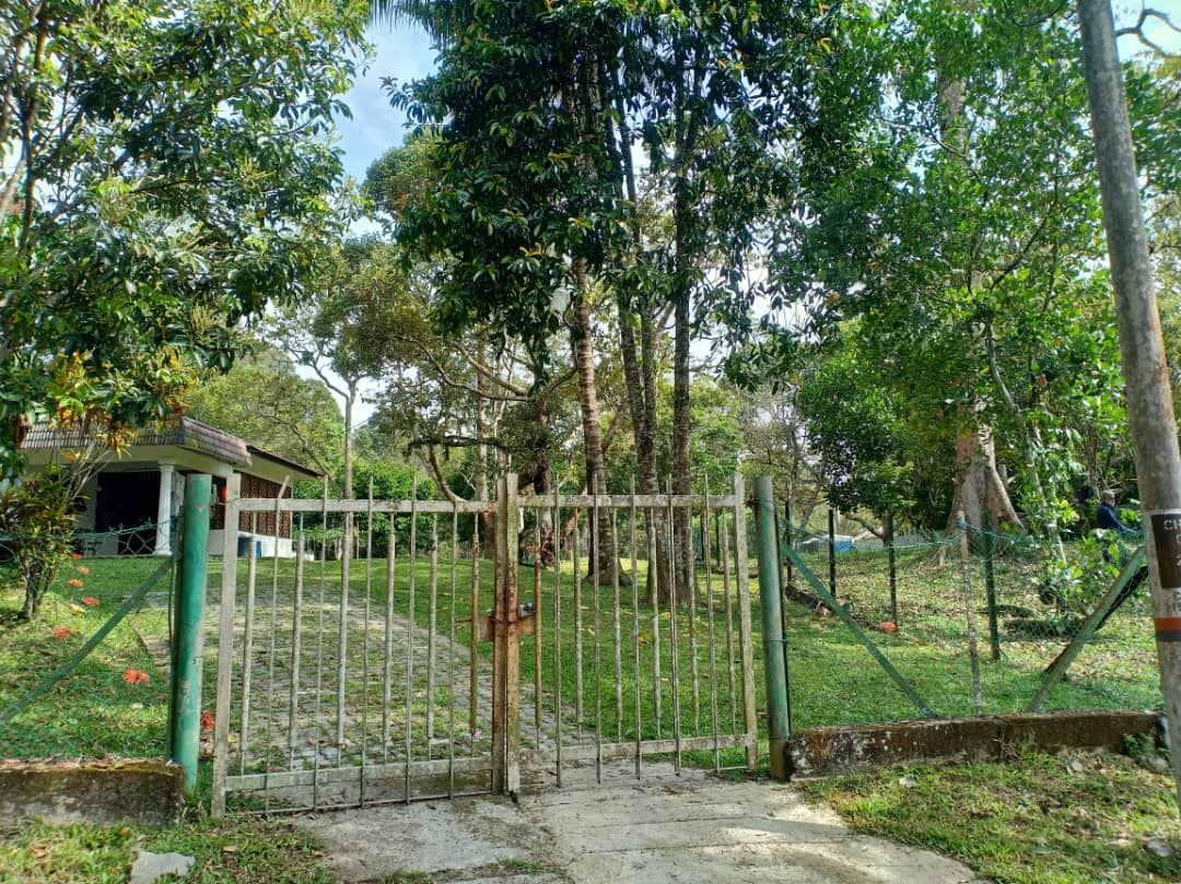 Tanah Pertanian Cherengin Tengah Janda Baik - photo 6