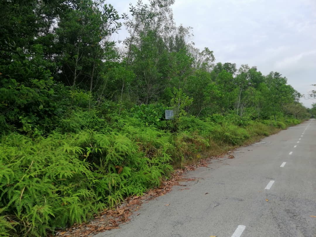 8000 SQFT Bungalow Lot Seksyen 7, Bukit Mahkota - photo 2