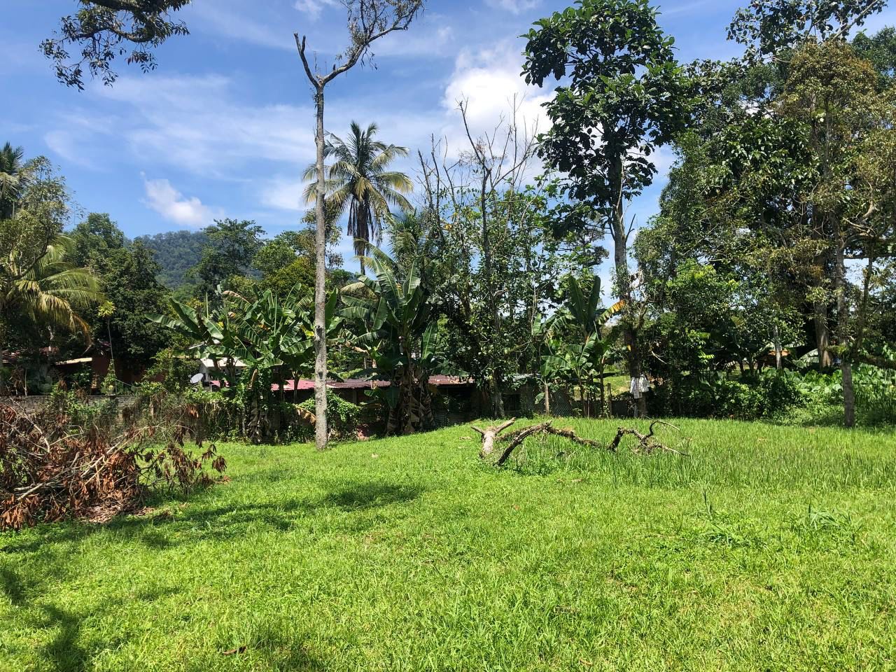 101494 SQFT FLAT LAND Janda Baik, Bentong Pahang - photo 2