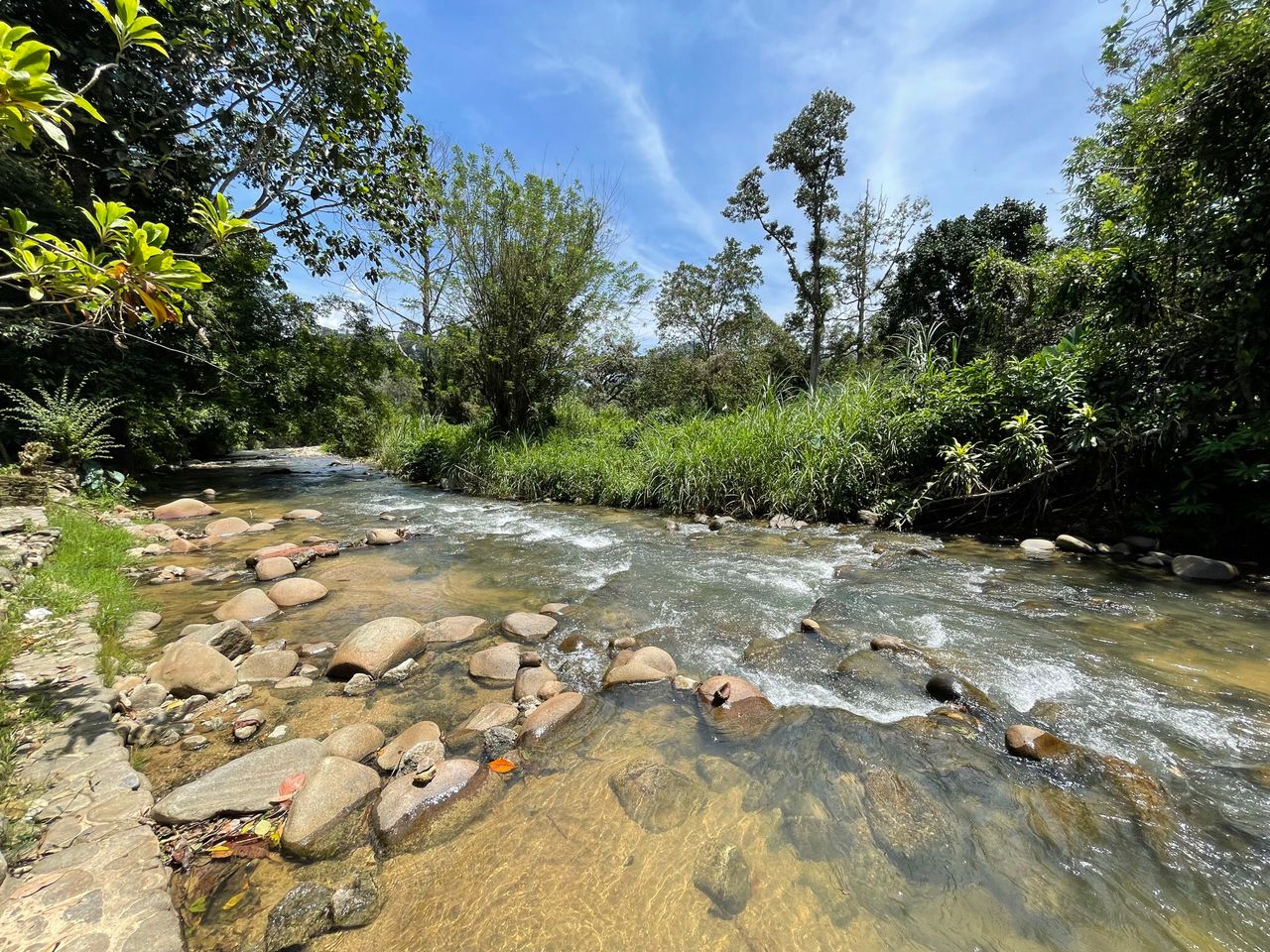 101494 SQFT FLAT LAND Janda Baik, Bentong Pahang - photo 5