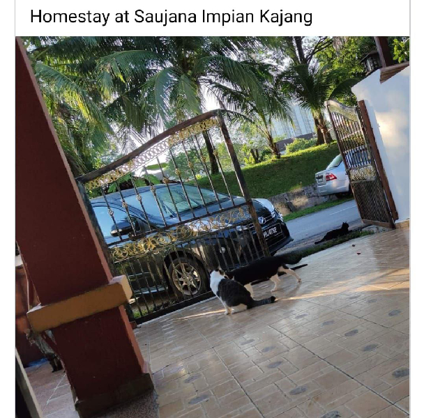 Taman Impian Murni Saujana Impian Kajang - photo 8