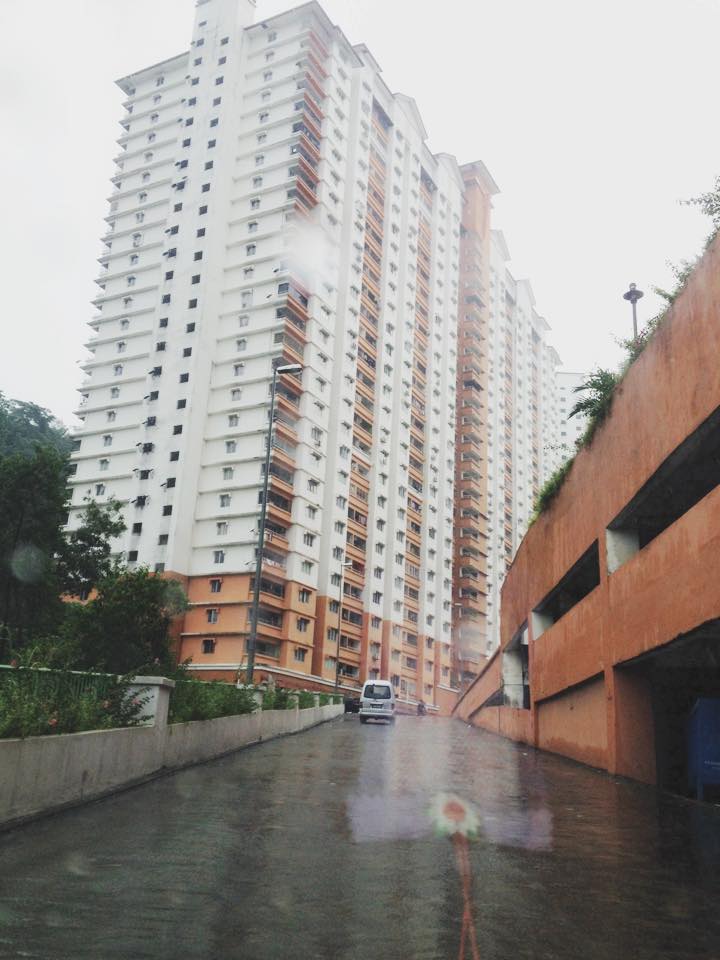 Flora Damansara, Damansara Perdana