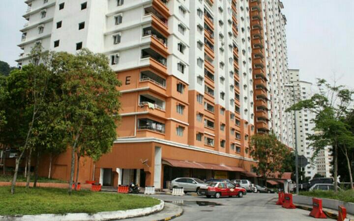 Flora Damansara, Damansara Perdana - photo 3