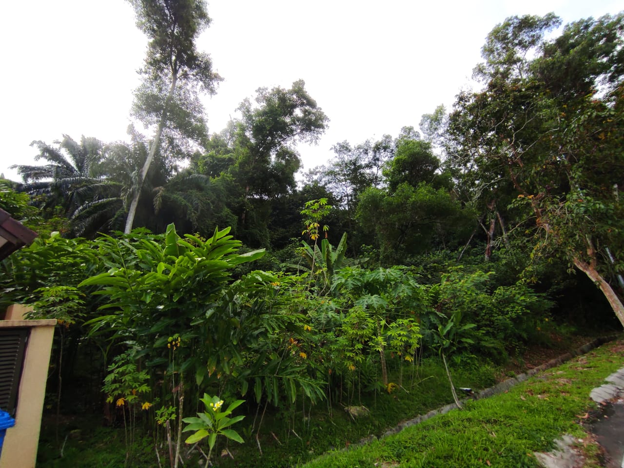 CHEAPEST Bungalow Land Seksyen 7 - photo 4