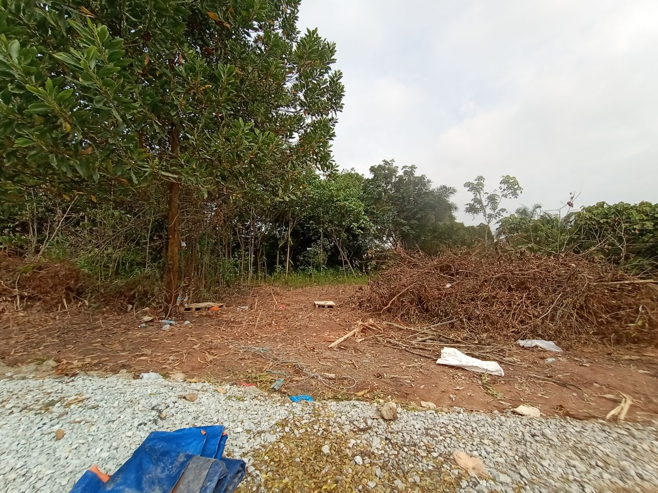 Tanah Lot Banglo Seksyen 30, Shah Alam - photo 5