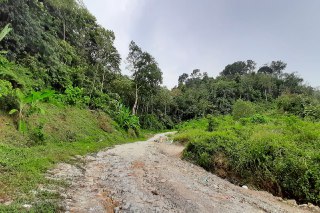 FOR SALE TANAH SUNGAI PUSU GOMBAK SETAPAK - photo 3
