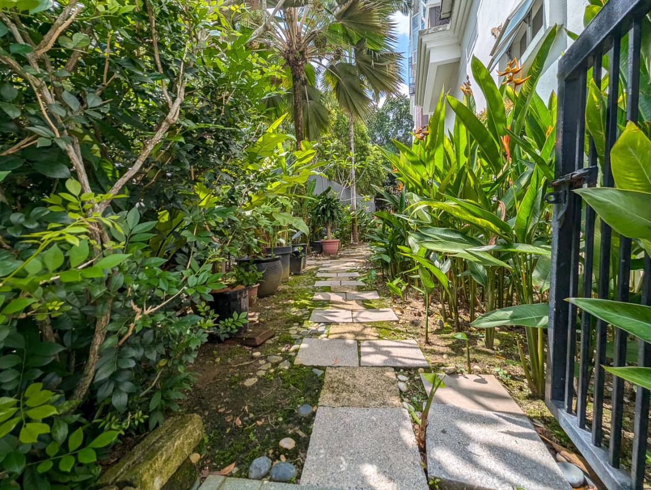Vila Mutiara Jalan Medang Tanduk Bangsar For Rent - photo 3