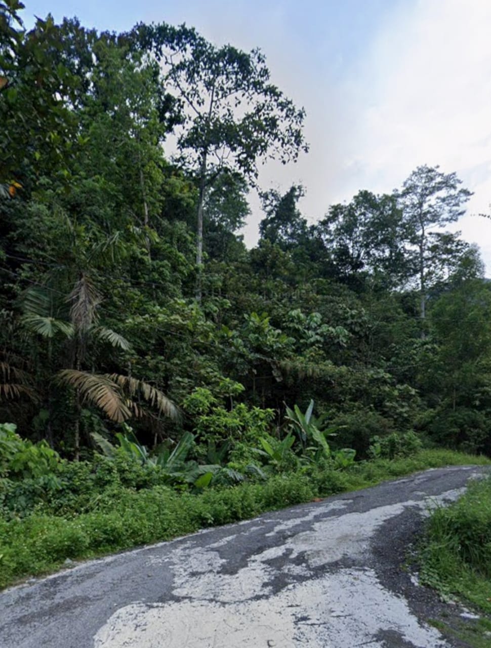 Tanah Pertanian Sungai Pusu Gombak - photo 3