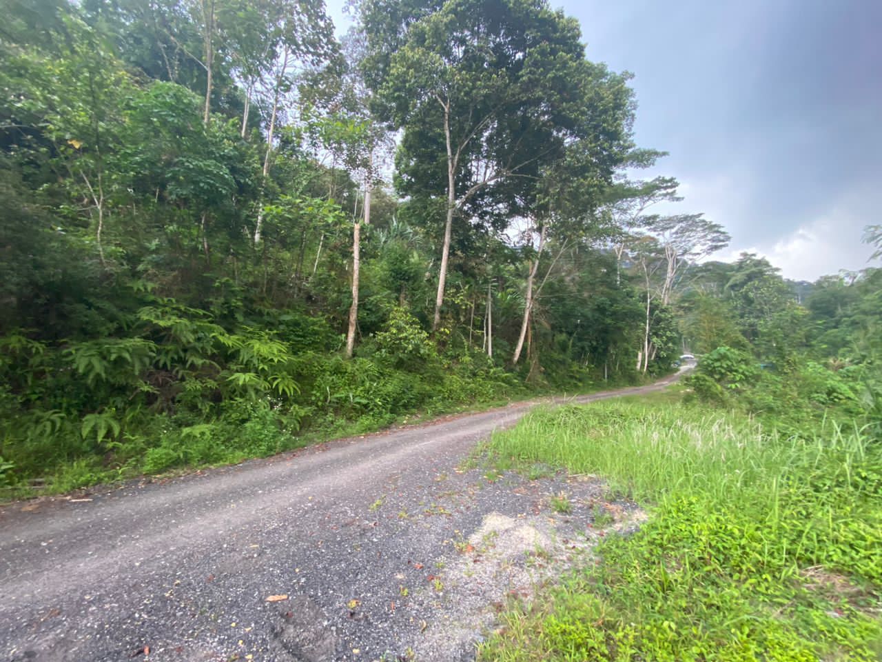 Tanah Pertanian Sungai Pusu Gombak - photo 4