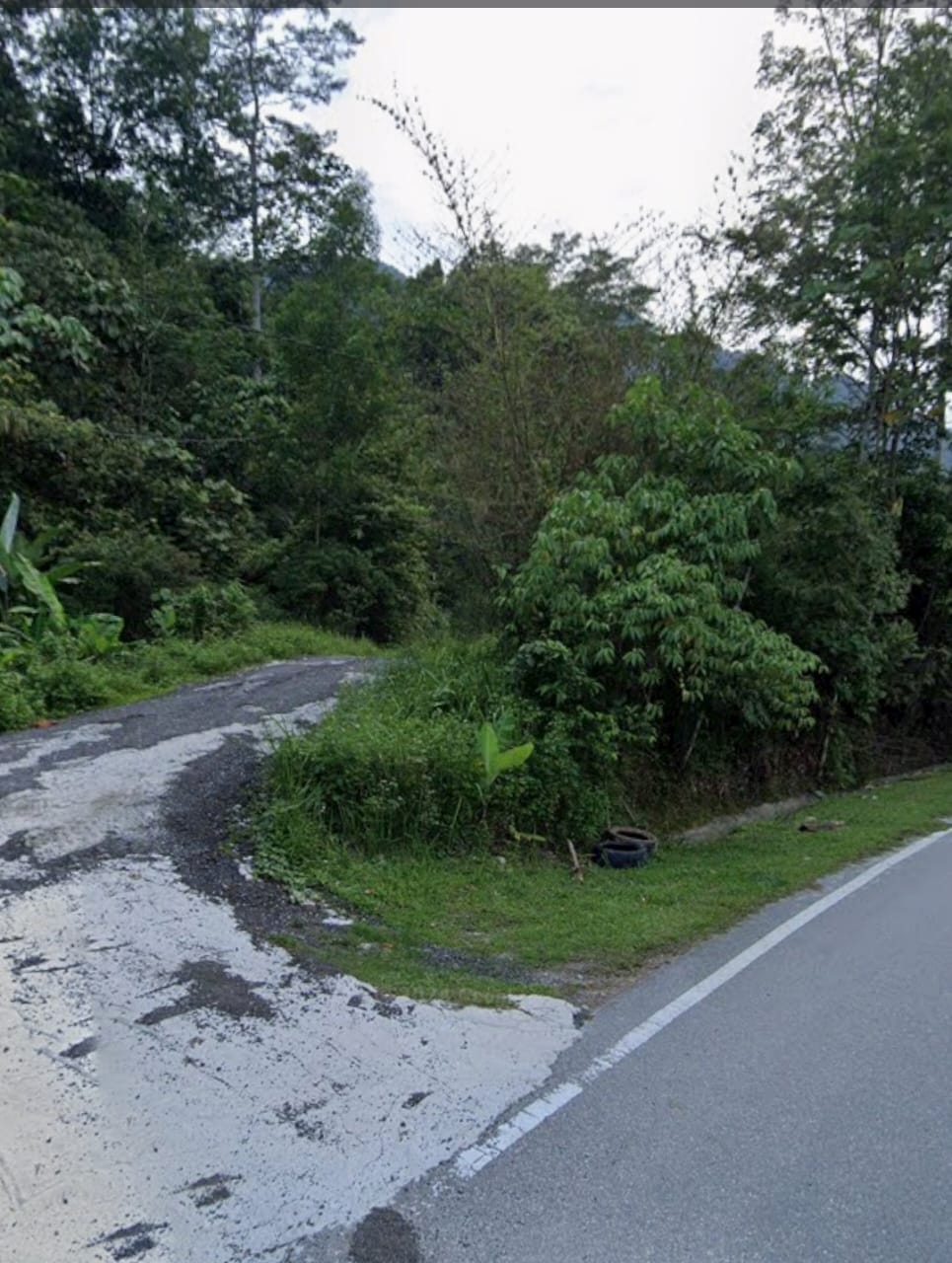 Tanah Pertanian Sungai Pusu Gombak - photo 5