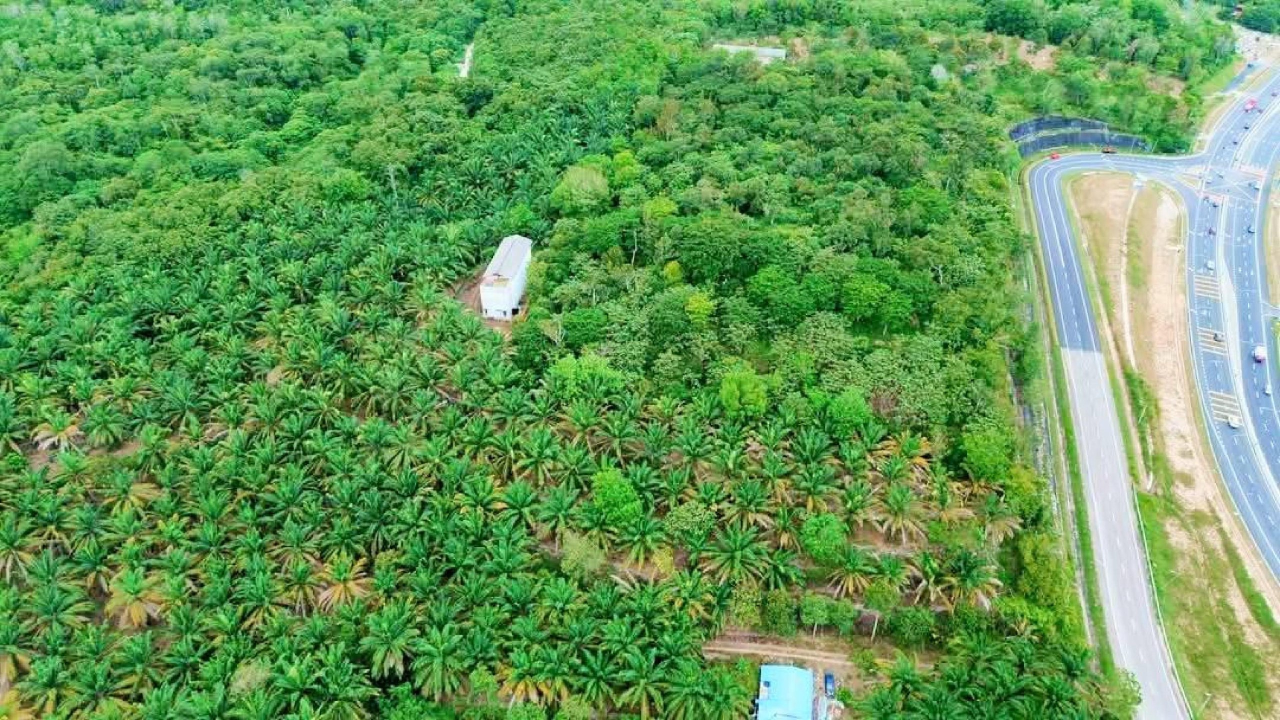 Agriculture Land Zoning Residential and Commercial - photo 2