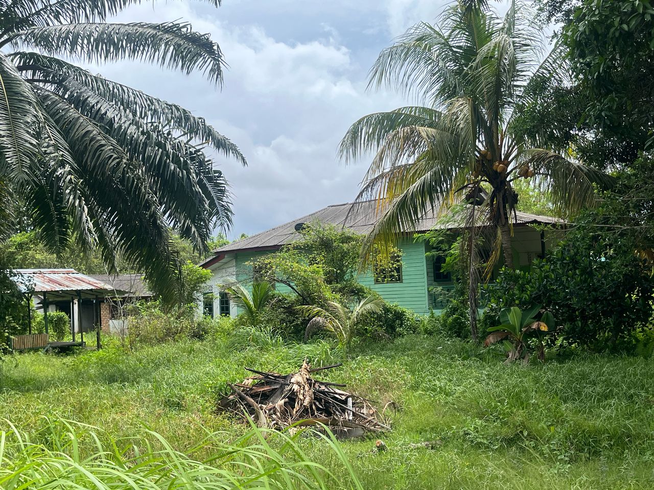 Tanah Kundang DI Jalan C1 Untuk Dijual - photo 2