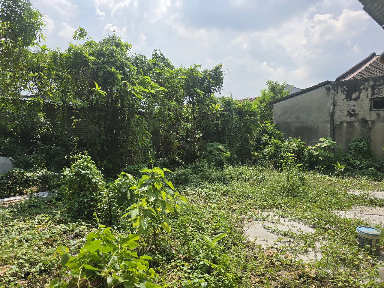 Semid Single Storey pj Old Town - photo 9