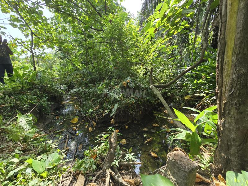 Tanah Pertanian Zoning Industri Telok Panglima Gar - photo 5