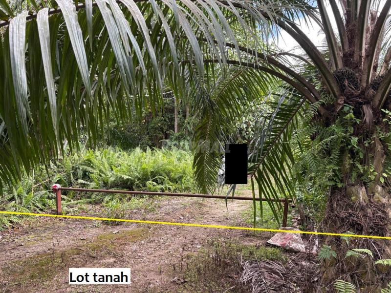 Tanah pertanian Near Wce Tanjung Dua Belas - photo 8