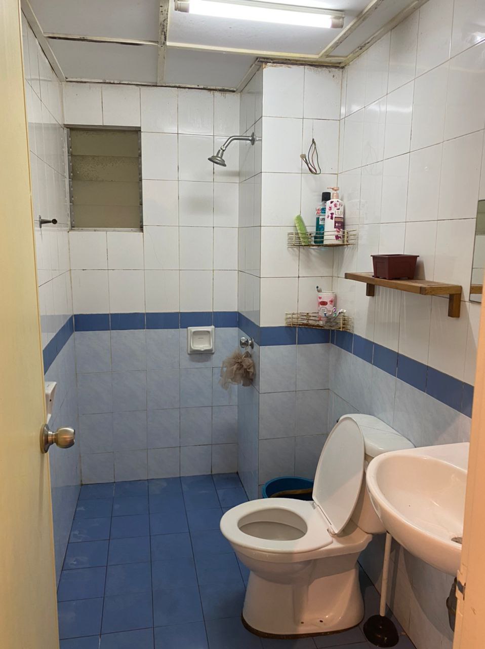 Lower Ground Dshire Kota Damansara - photo 13