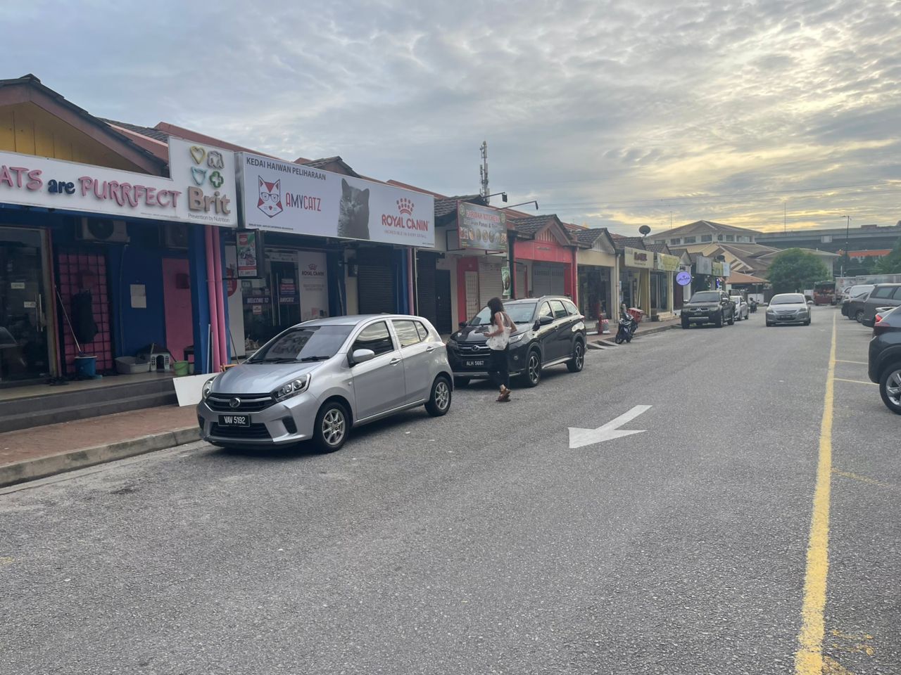 Single Storey Shoplot Mutiara Damansara - photo 3