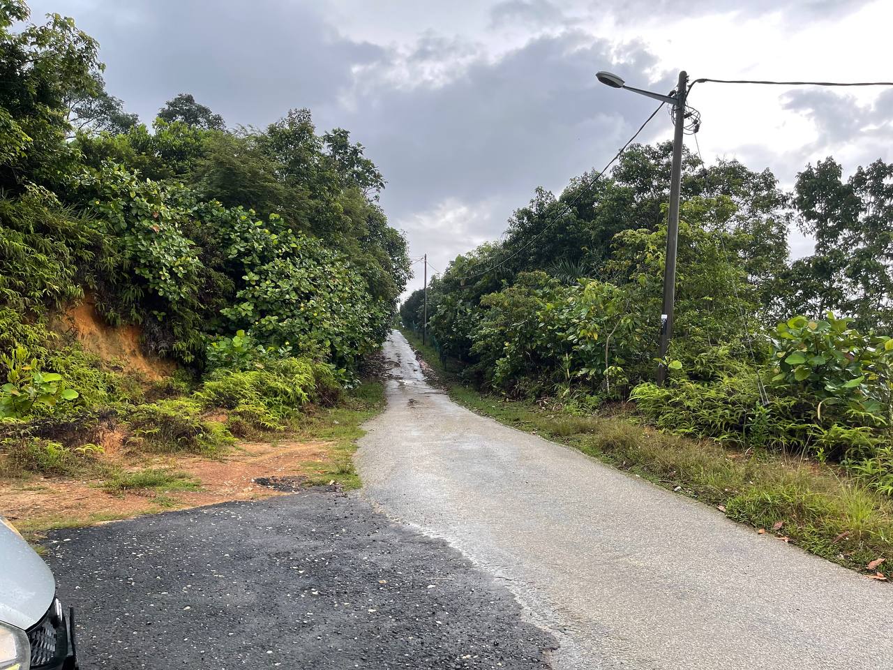 Tanah Pertanian Bukit Cerakah Untuk Dijual - photo 4