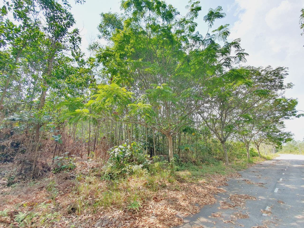 FACING EAST Bungalow Lot  Seksyen 7 Bangi - photo 2