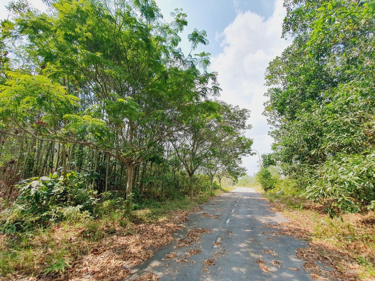 FACING EAST Bungalow Lot  Seksyen 7 Bangi - photo 3