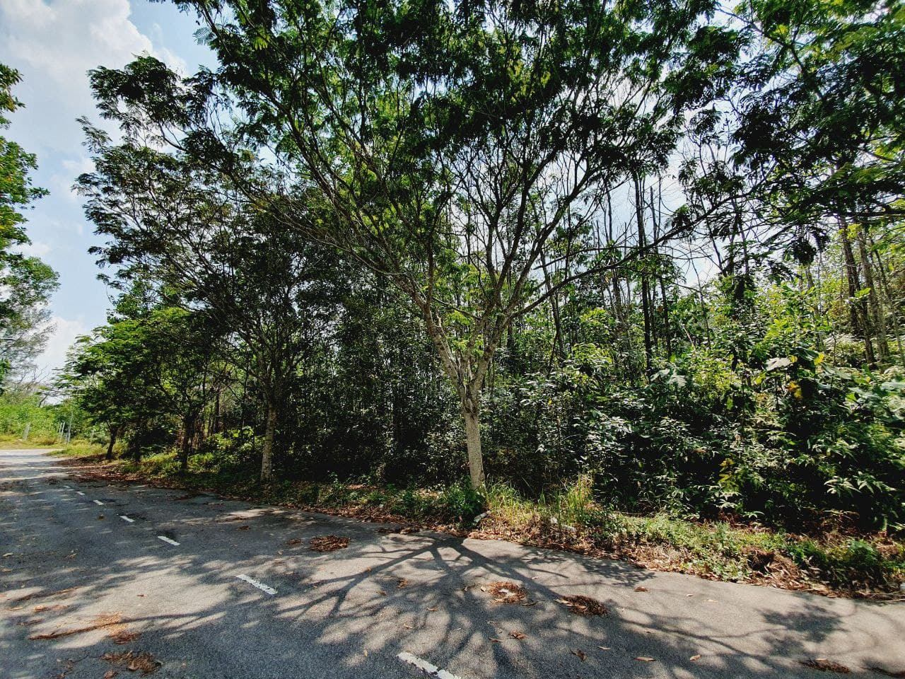FACING EAST Bungalow Lot  Seksyen 7 Bangi - photo 5