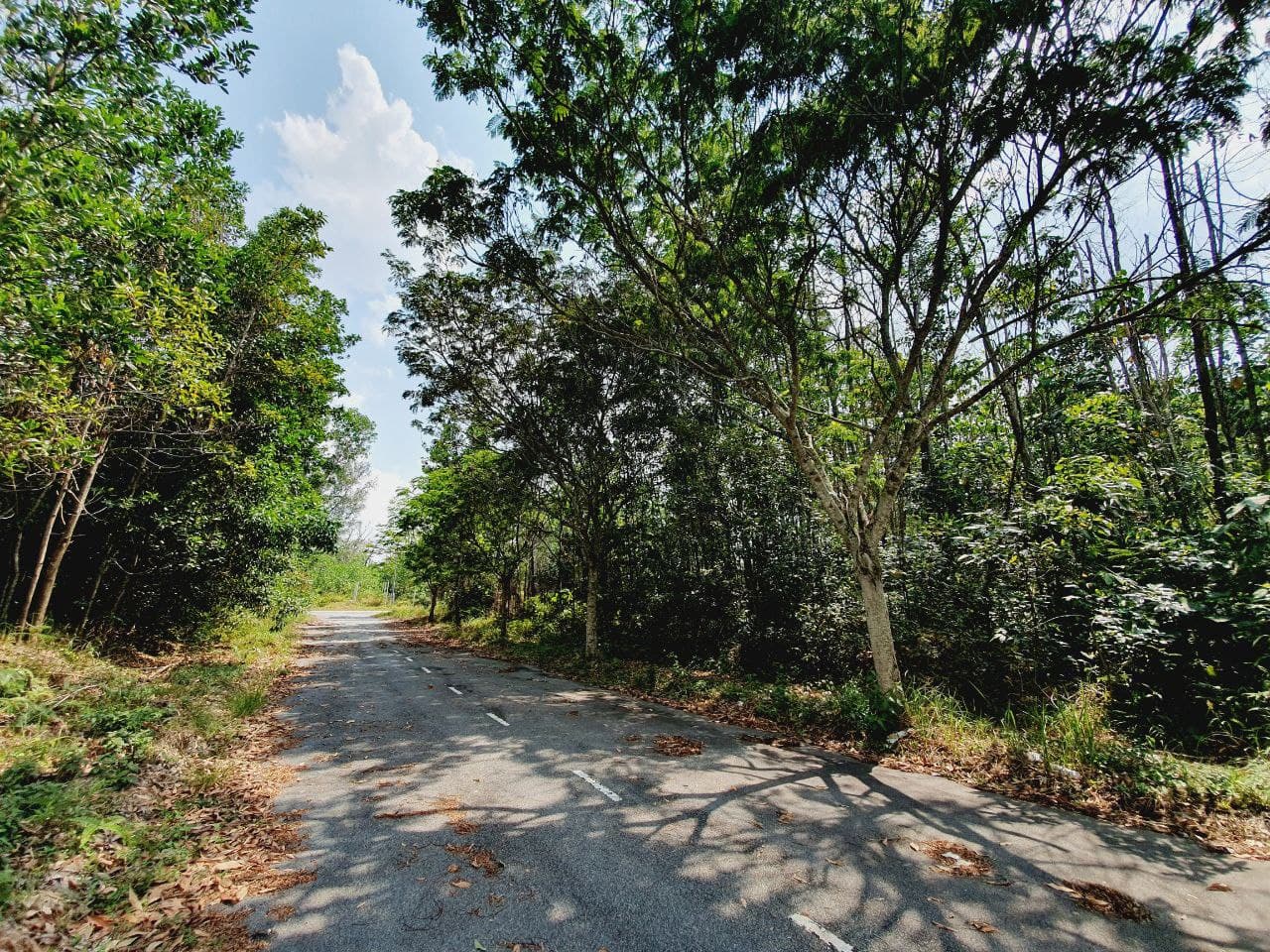 FACING EAST Bungalow Lot  Seksyen 7 Bangi - photo 6