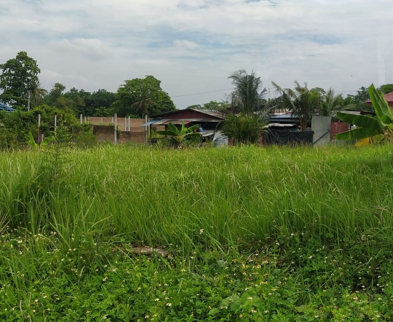 LOT BUNGALOW Pengkalan Ipoh Perak - photo 5