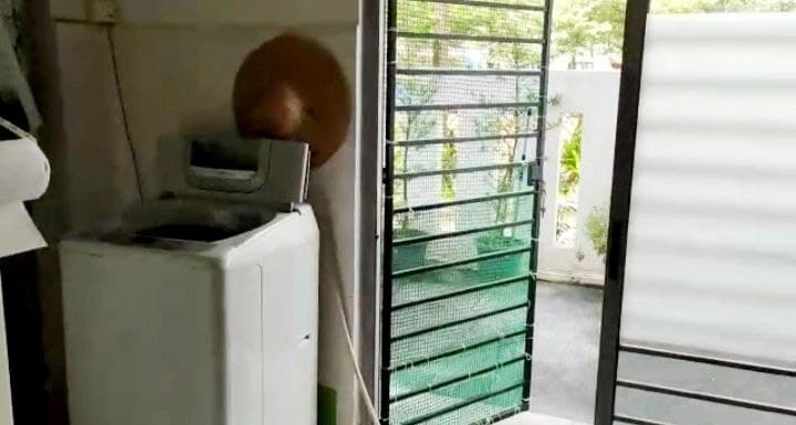 2 Half Storey Jia Residence Bukit Serdang - photo 12