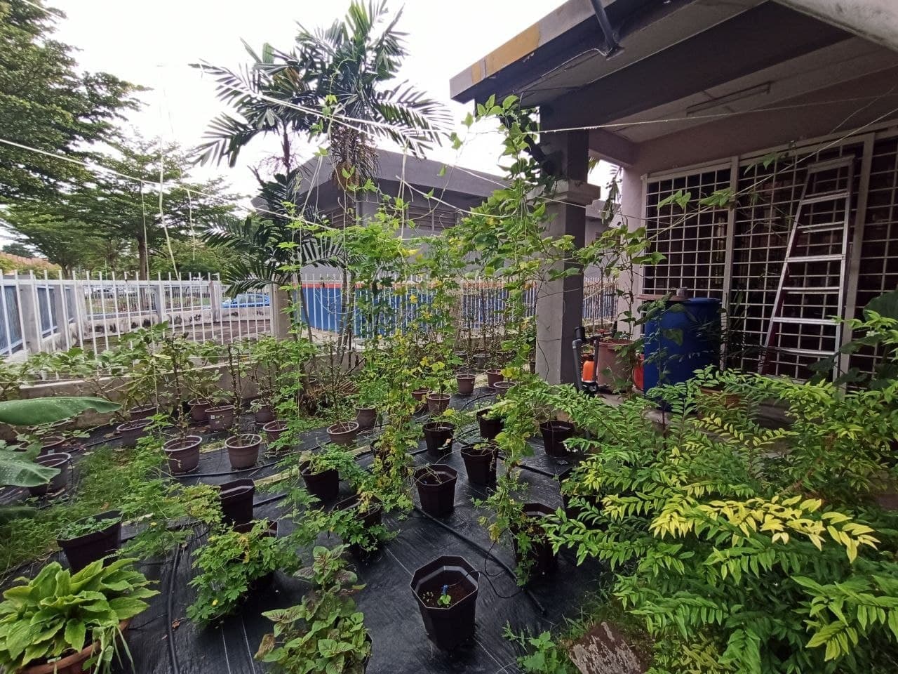 END LOT 2 Storey Bandar Nusaputra Precint 1 Puchon - photo 4