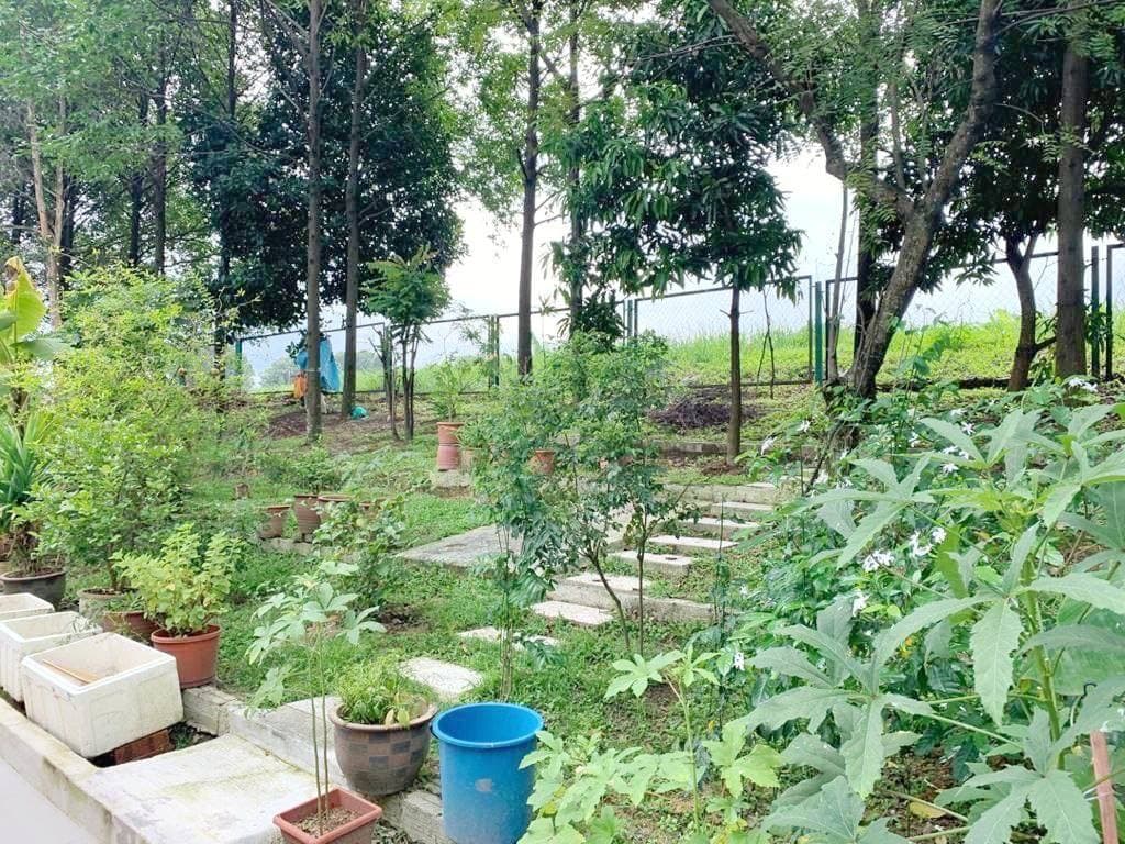 RENOVATED 2 Half Storey USJ Height Subang Jaya - photo 8